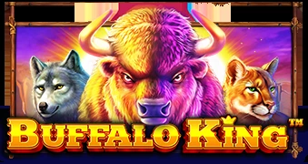 Buffalo King Pokie at Royal Reels